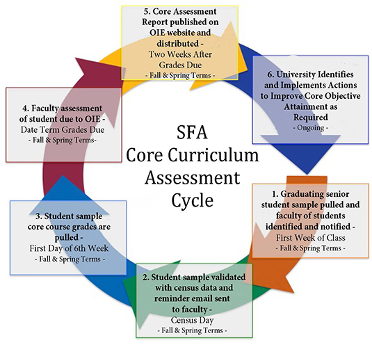 graphic detailing SFA’s cycle for core assessment